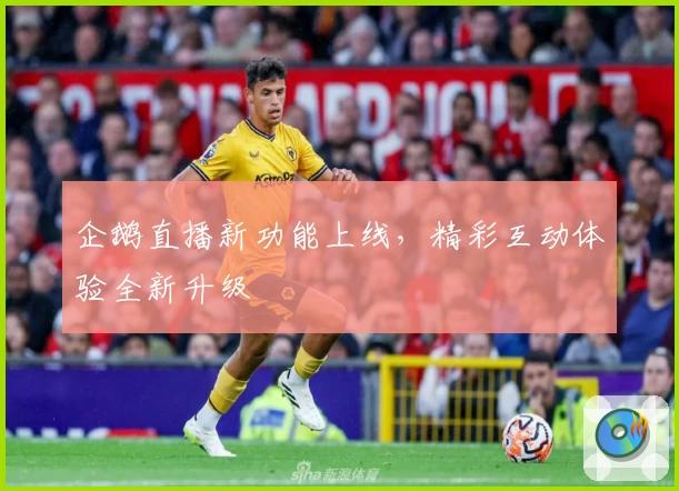 企鹅直播新功能上线,精彩互动体验全新升级