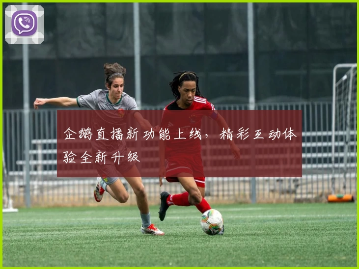 企鹅直播新功能上线,精彩互动体验全新升级