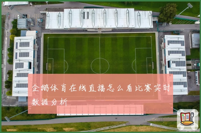 企鹅体育在线直播怎么看比赛实时数据分析
