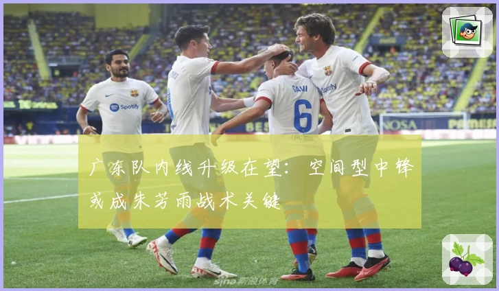 广东队内线升级在望：空间型中锋或成朱芳雨战术关键