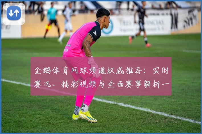 企鹅体育网球频道权威推荐：实时赛况、精彩视频与全面赛事解析一站尽享