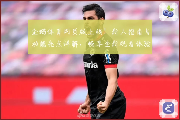 企鹅体育网页版上线！新人指南与功能亮点详解，畅享全新观看体验