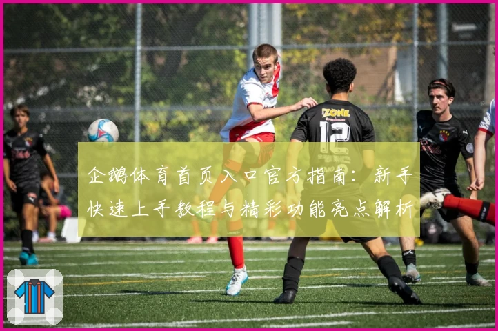 企鹅体育首页入口官方指南：新手快速上手教程与精彩功能亮点解析