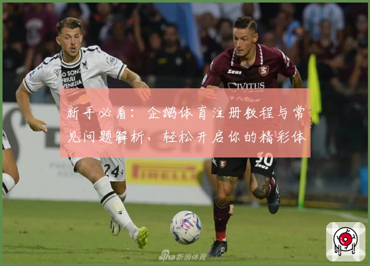 新手必看：企鹅体育注册教程与常见问题解析，轻松开启你的精彩体育之旅