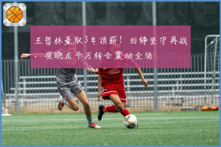 王哲林豪取3年顶薪!刘铮坚守再战,崔晓龙千万转会震动全场