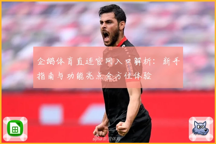 企鹅体育直连官网入口解析：新手指南与功能亮点全方位体验