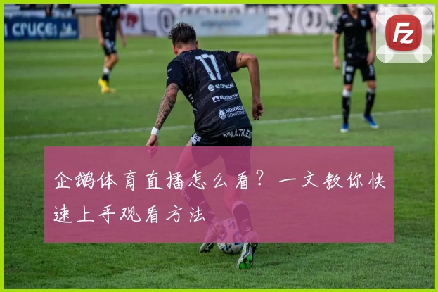 企鹅体育直播怎么看?一文教你快速上手观看方法