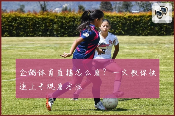 企鹅体育直播怎么看？一文教你快速上手观看方法